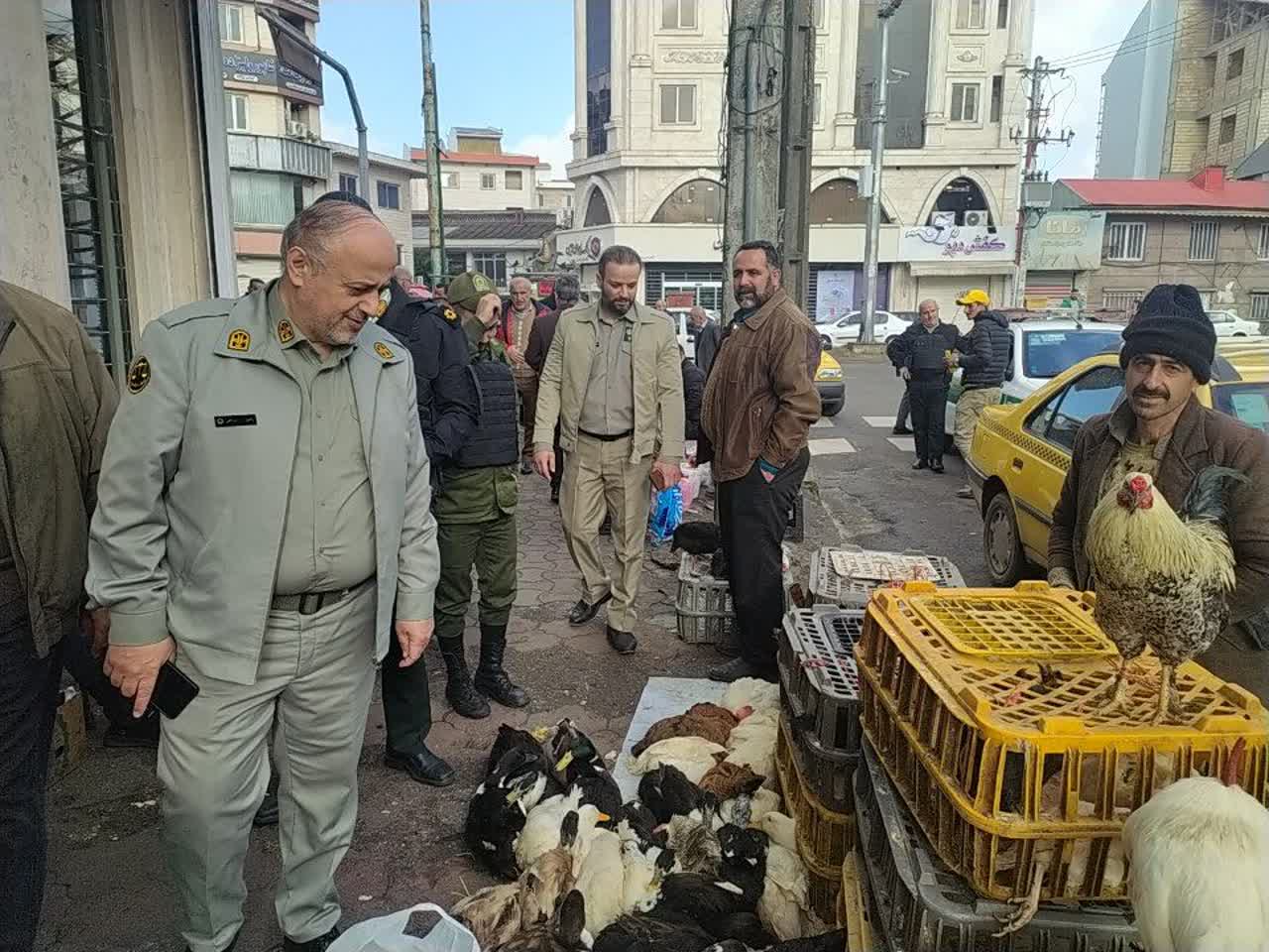 هشدار محیط‌ زیست گیلان به فروشندگان پرندگان مهاجر و حیوانات/ بازارهای محلی گیلان بازرسی می‌شوند