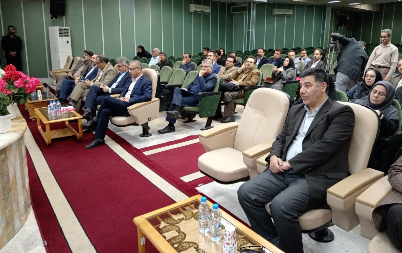  آمارها نشان‌ دهنده افزایش مهار نشده خودکشی در جامعه است/ تحقیقات در حوزه سالمندی کاربردی نیست